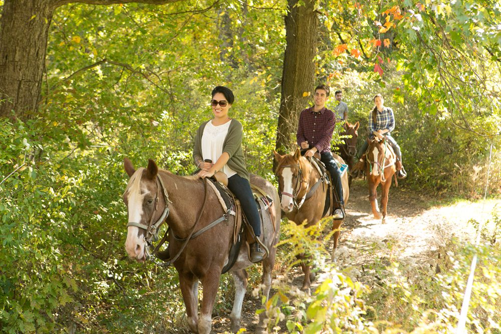 Mountain Creek Riding Stables