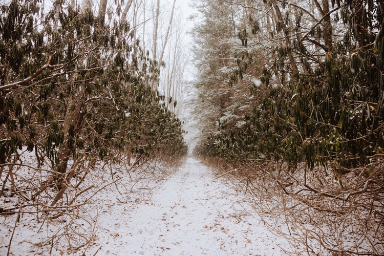 Winter on the Turkey wilderness Trail