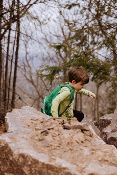 A young boy, exploring nature in the Pocono Mountains
