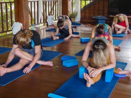 Designing a Wellness Retreat in the Pocono Mountains That Lasts